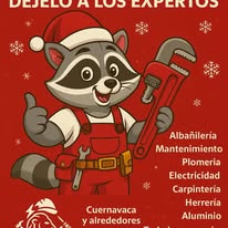 Soluciones León - Imagen 6